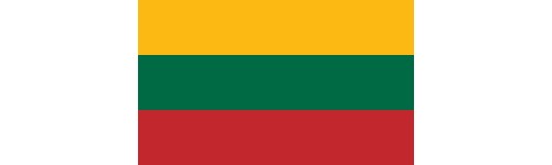 Tatuaggi Temporanei | BANDIERA LITUANIA